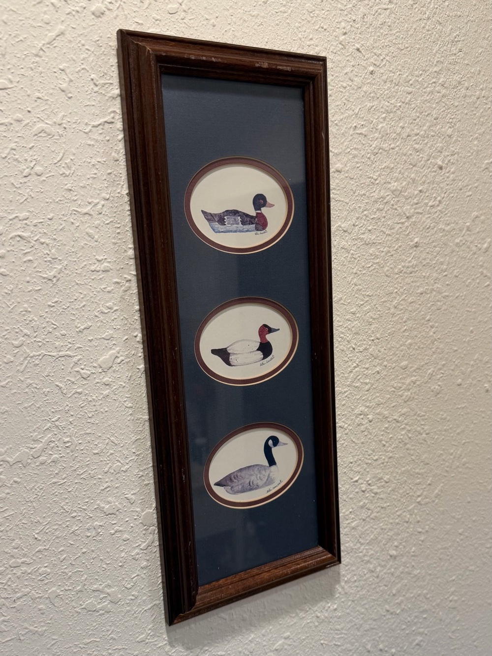 Vintage Framed Duck Wildlife Print by Edi Sweet